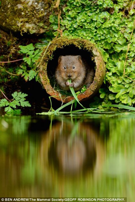 德甲球队分布图-乐鱼app(leyu)官方网站-乐鱼官网