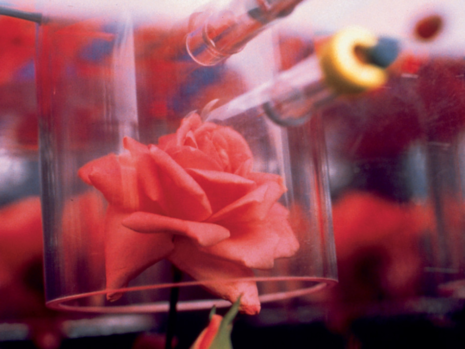 俄罗斯世界杯名单