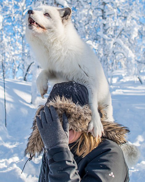 香港有线足球台-乐鱼app(leyu)官方网站-乐鱼官网