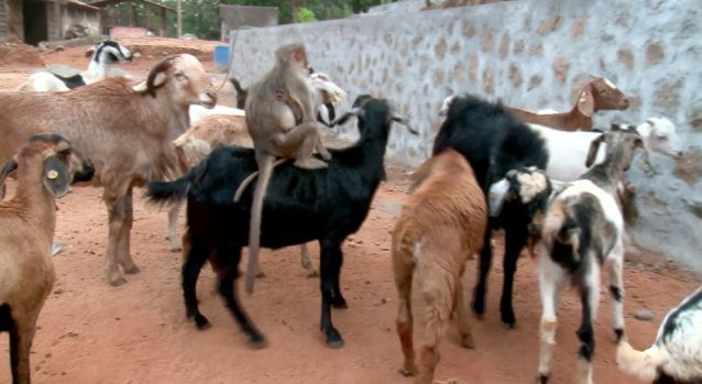 阿斯顿维拉欧冠-乐鱼app(leyu)官方网站-乐鱼官网