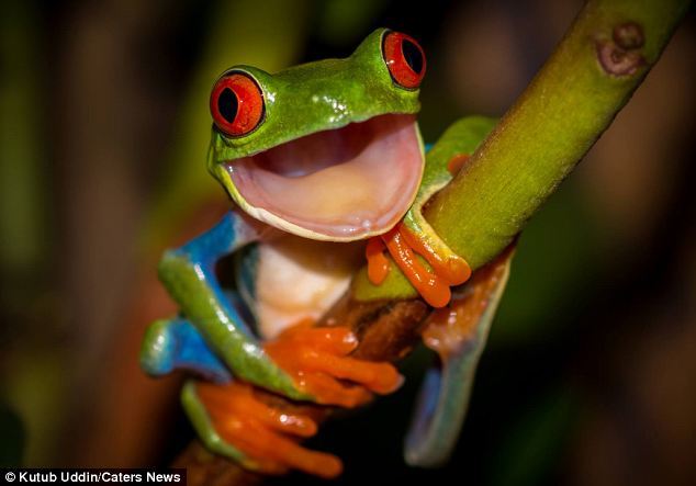 3G任意球-乐鱼app(leyu)官方网站-乐鱼官网