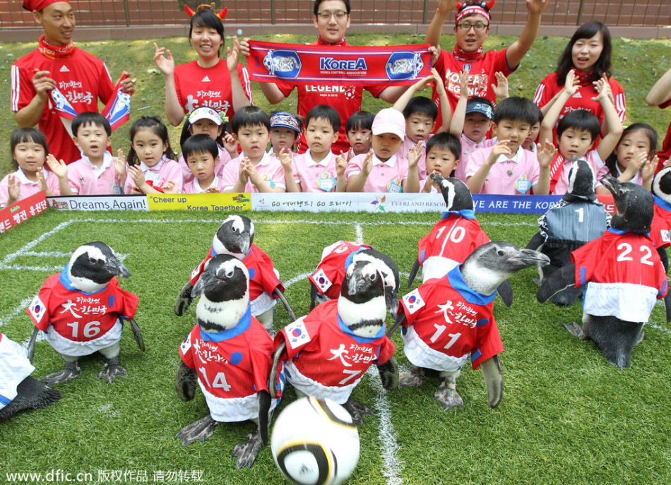 打印_动物界中的球星:松鼠猴繁衍出一支足球队