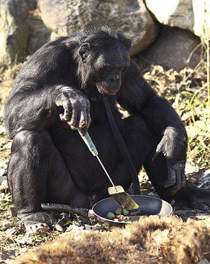 保罗加斯科因-乐鱼app(leyu)官方网站-乐鱼官网