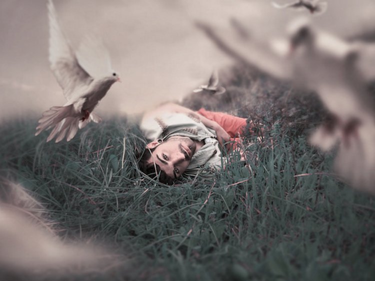 荷兰队吧-乐鱼app(leyu)官方网站-乐鱼官网