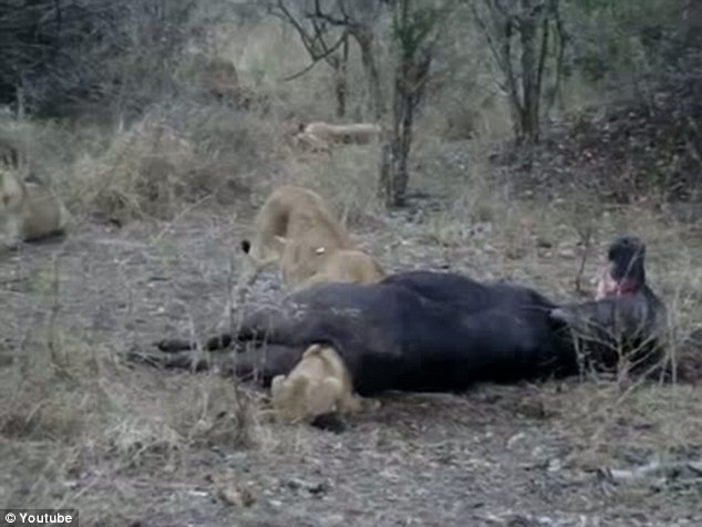 阿森纳 那不勒斯-万博体育(官网)官方网站-万博体育app官网下载-ManBetX