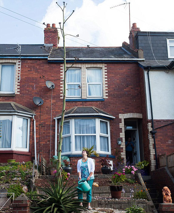 丽芙和梅迪-乐鱼app(leyu)官方网站-乐鱼官网