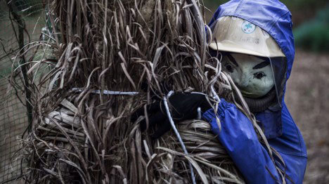 专业足球分析-乐鱼app(leyu)官方网站-乐鱼官网