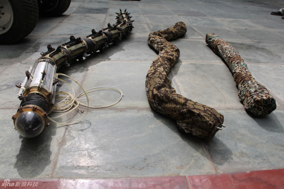 蛇是如何运动的 453_49953_188142.jpg