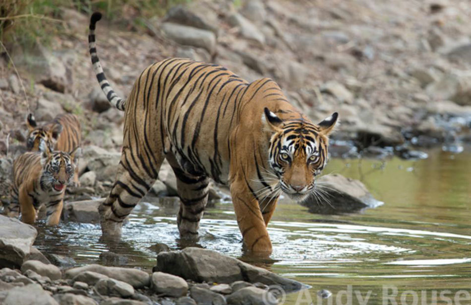 汤姆斯杯直播-乐鱼app(leyu)官方网站-乐鱼官网