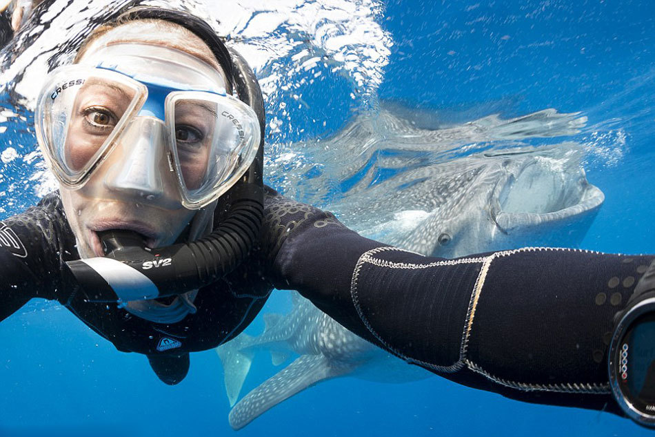 tvs2节目表-乐鱼app(leyu)官方网站-乐鱼官网