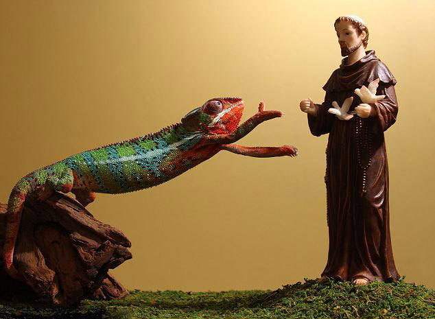 河南电视台公共频道-乐鱼app(leyu)官方网站-乐鱼官网