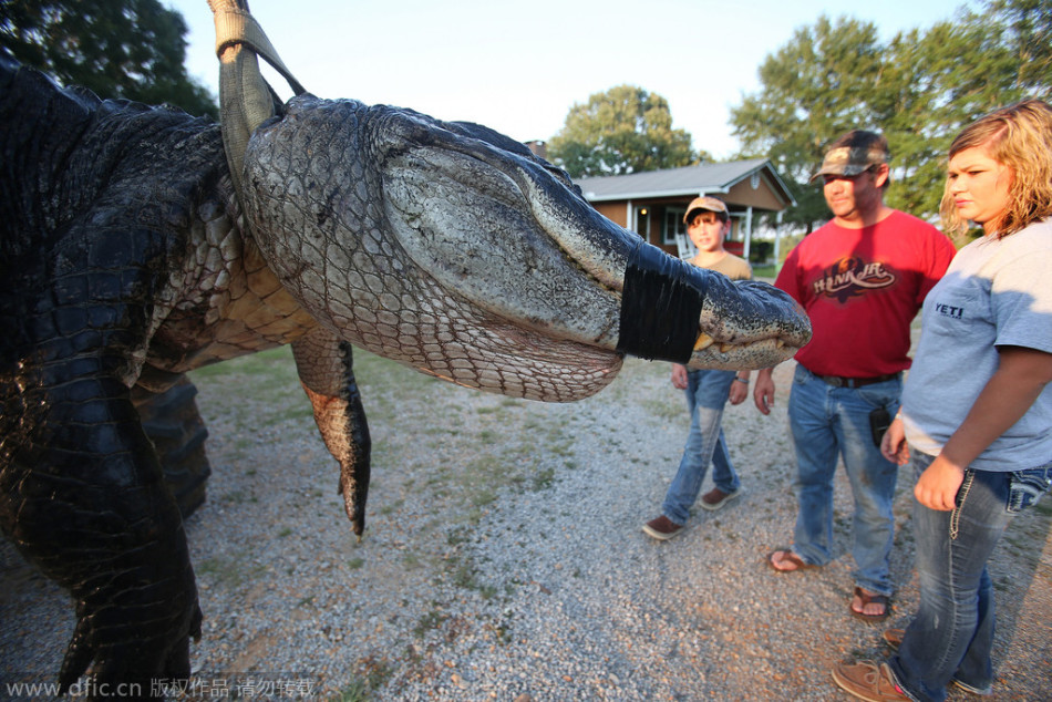 luoben-乐鱼app(leyu)官方网站-乐鱼官网