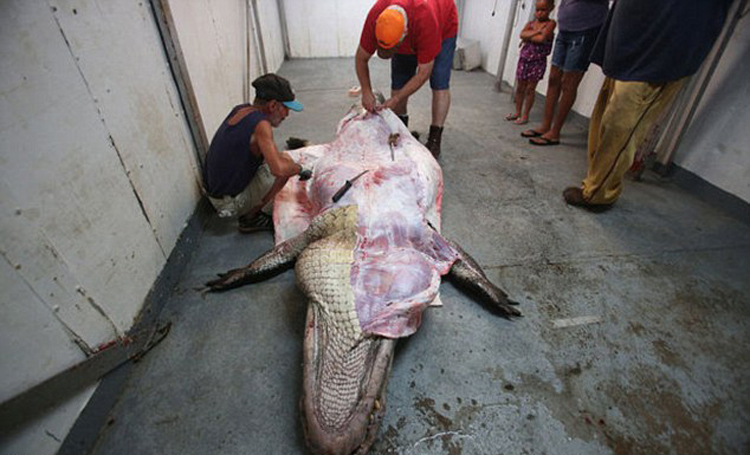 快船vs尼克斯-乐鱼app(leyu)官方网站-乐鱼官网