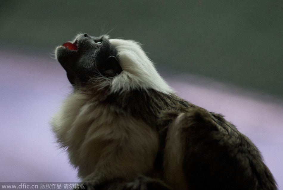 美国经典电影推荐-乐鱼app(leyu)官方网站-乐鱼官网