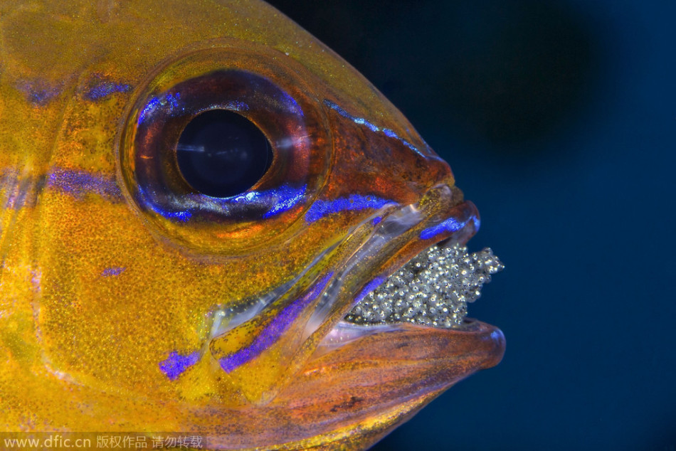 广州恒大vs墨尔本-九游体育(JIUYOU)官方网站-APP下载官网入口