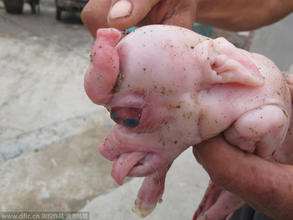 2011欧冠决赛-乐鱼app(leyu)官方网站-乐鱼官网