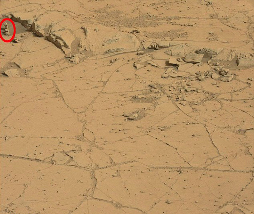 阿森纳中文官方网站-乐鱼app(leyu)官方网站-乐鱼官网