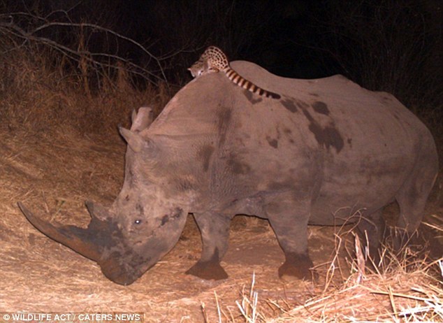葡萄牙出线形势-乐鱼APP下载-乐鱼体育app-乐鱼体育官网网站|乐鱼体育