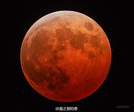 托雷斯妻子-乐鱼APP下载-乐鱼体育app-乐鱼体育官网网站|乐鱼体育