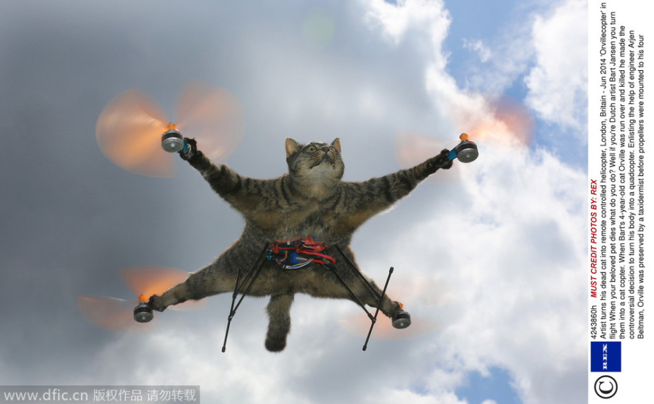 江苏卫视直播在线观-乐鱼app(leyu)官方网站-乐鱼官网