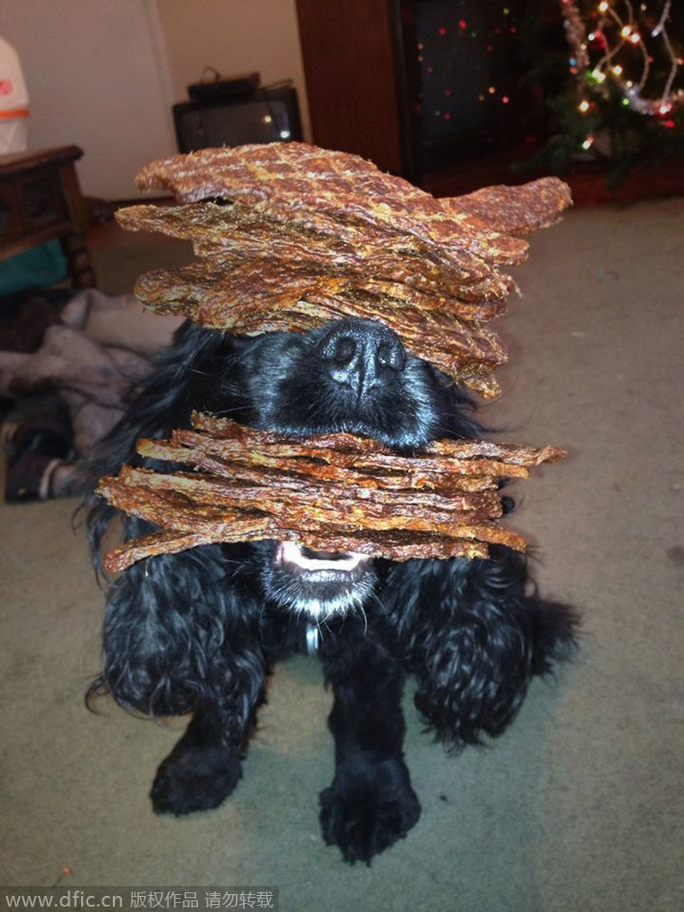 意大利门将-乐鱼app(leyu)官方网站-乐鱼官网