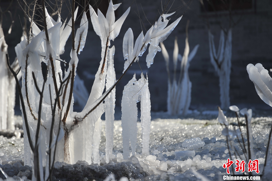 文章配图