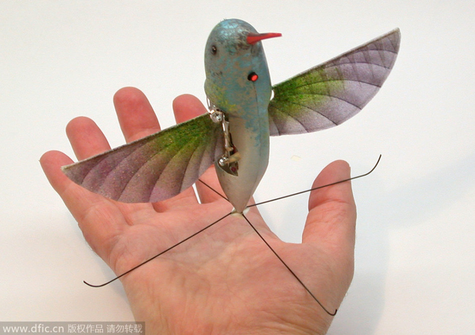 巴西队长-乐鱼app(leyu)官方网站-乐鱼官网