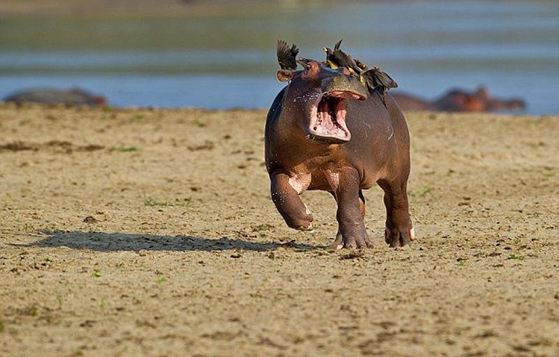 黑龙江少儿频道-乐鱼app(leyu)官方网站-乐鱼官网