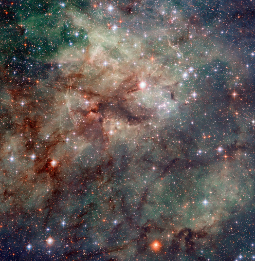 453_62536_206034.jpg
