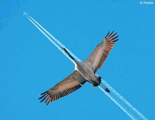 世界杯球衣-乐鱼体育(LEYU)中国官网-app登录入口