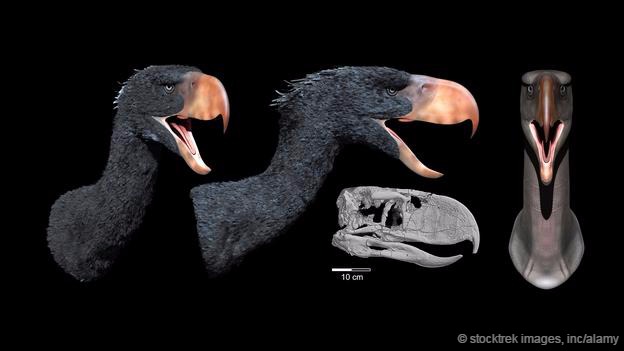 图为com插妹子96久草网站 天津父女乱伦高清图片