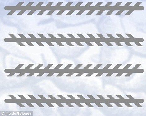 453_69242_942696.jpg