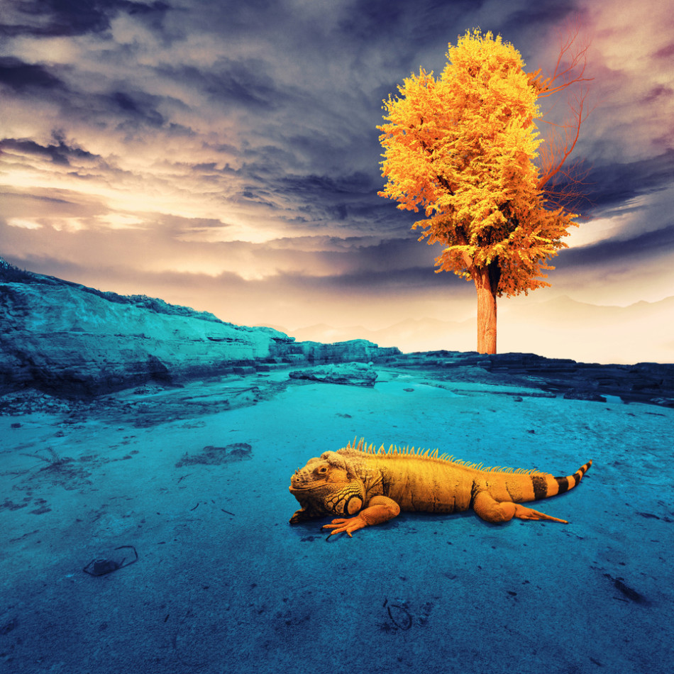 惊为天人!后期大牛制造超现实主义世界 - 科技