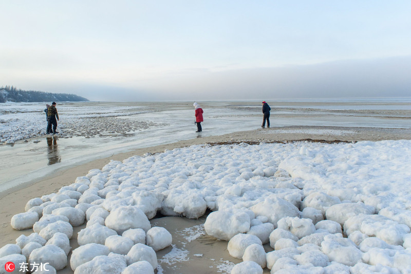 俄罗斯海滩出现大批奇异雪球:形状规则 - 科技