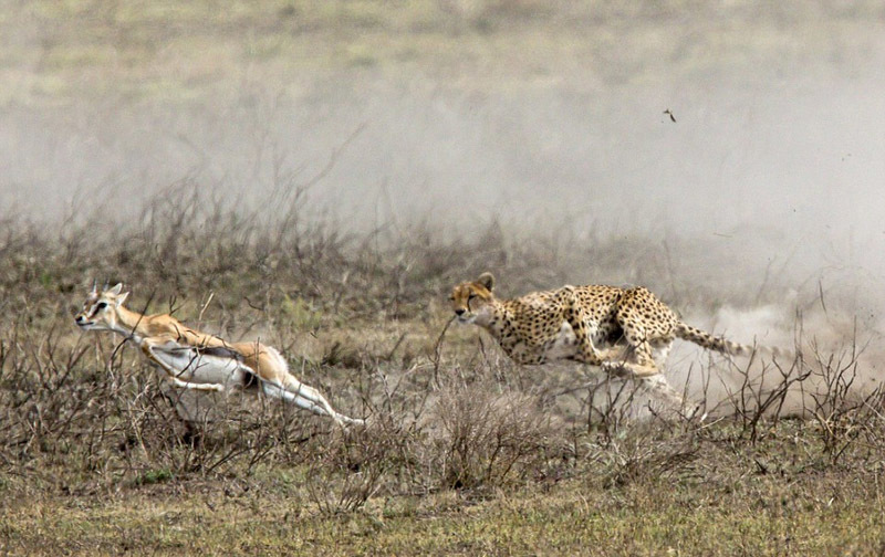 453_84943_183634.jpg