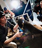 4.热封安在背鳍上的塑料螺栓