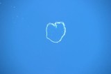 ԱTwitterϴ׳۵