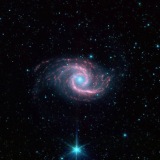 NGC 1566