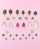 妈妈会骂吗？蔬果趣味摄影作品欣赏