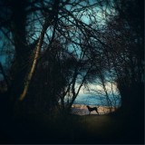 治愈心灵 震撼视觉神经的摄影作品赏