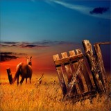 治愈心灵 震撼视觉神经的摄影作品赏