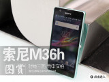 M36hʵ