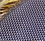 微距镜头下的昆虫：展现丰富身体细节