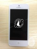 iPhoneƬ