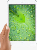 RetinaiPad miniͼ