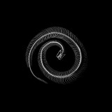 Ӱevolution