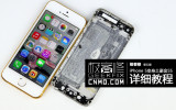 iPhone 55s̳