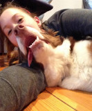 抢镜动物创造“点赞”佳作