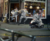 让人捧腹 极具幽默感的镜头画面