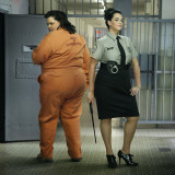 趣味摄影：充满正能量的逗比减肥照